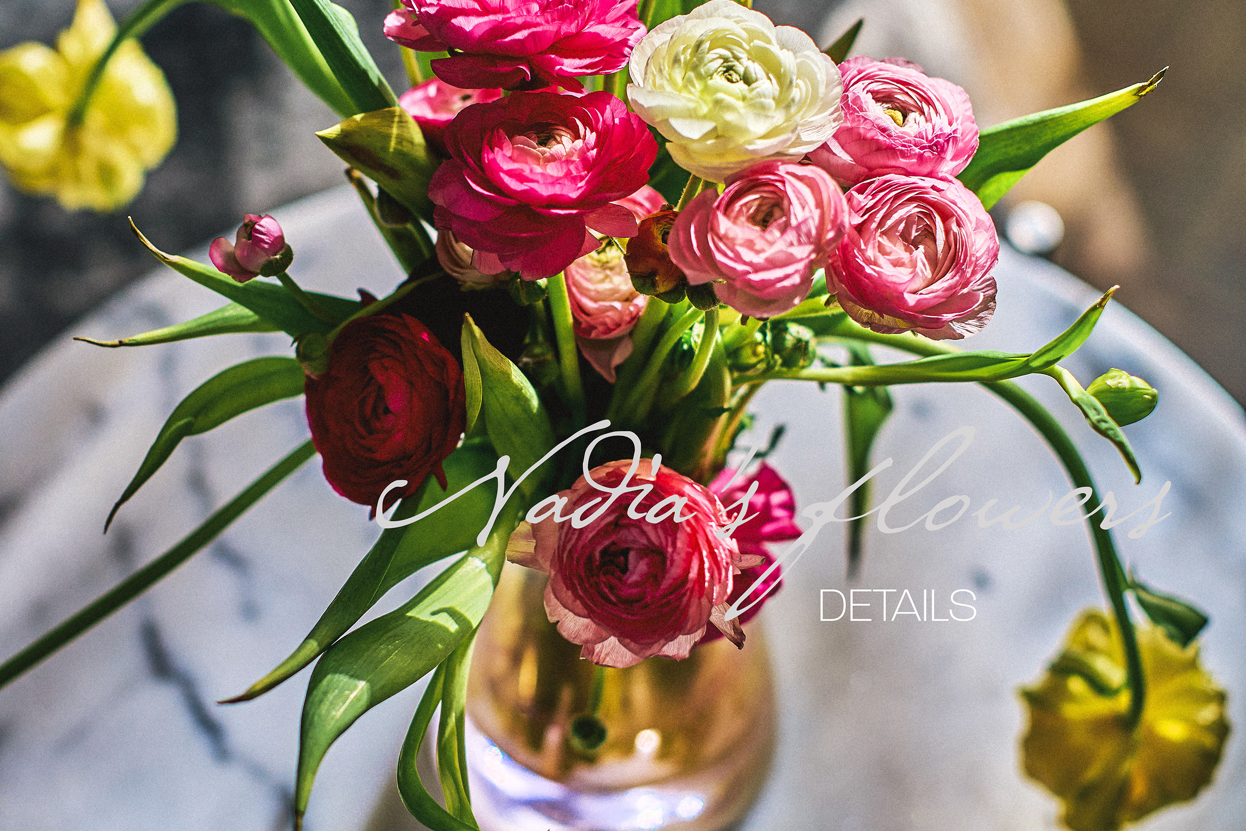 Nadia's Flowers, Canon 55 1.2, beautiful flowers, Scott Edwards