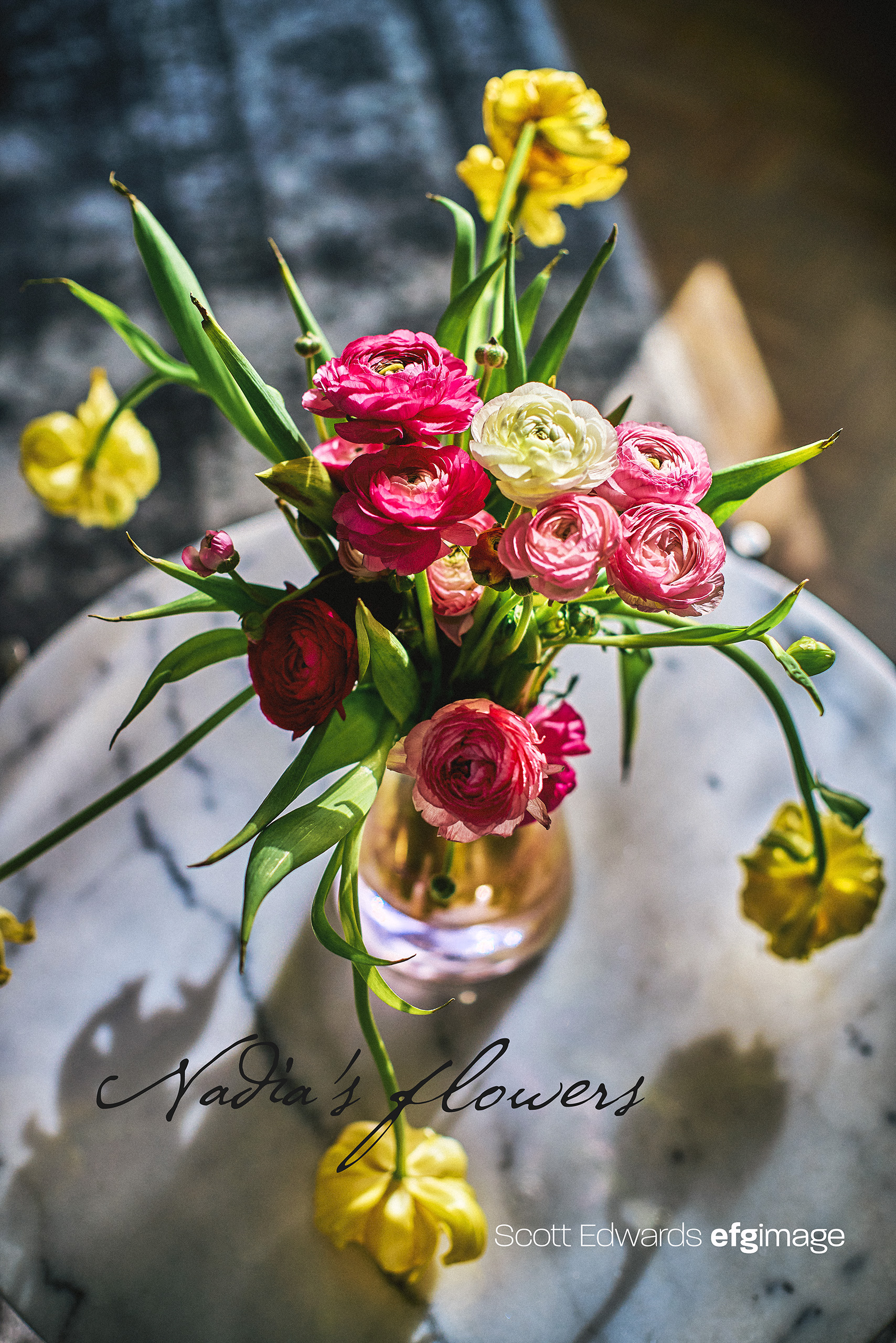 Nadia's Flowers, Scott Edwards