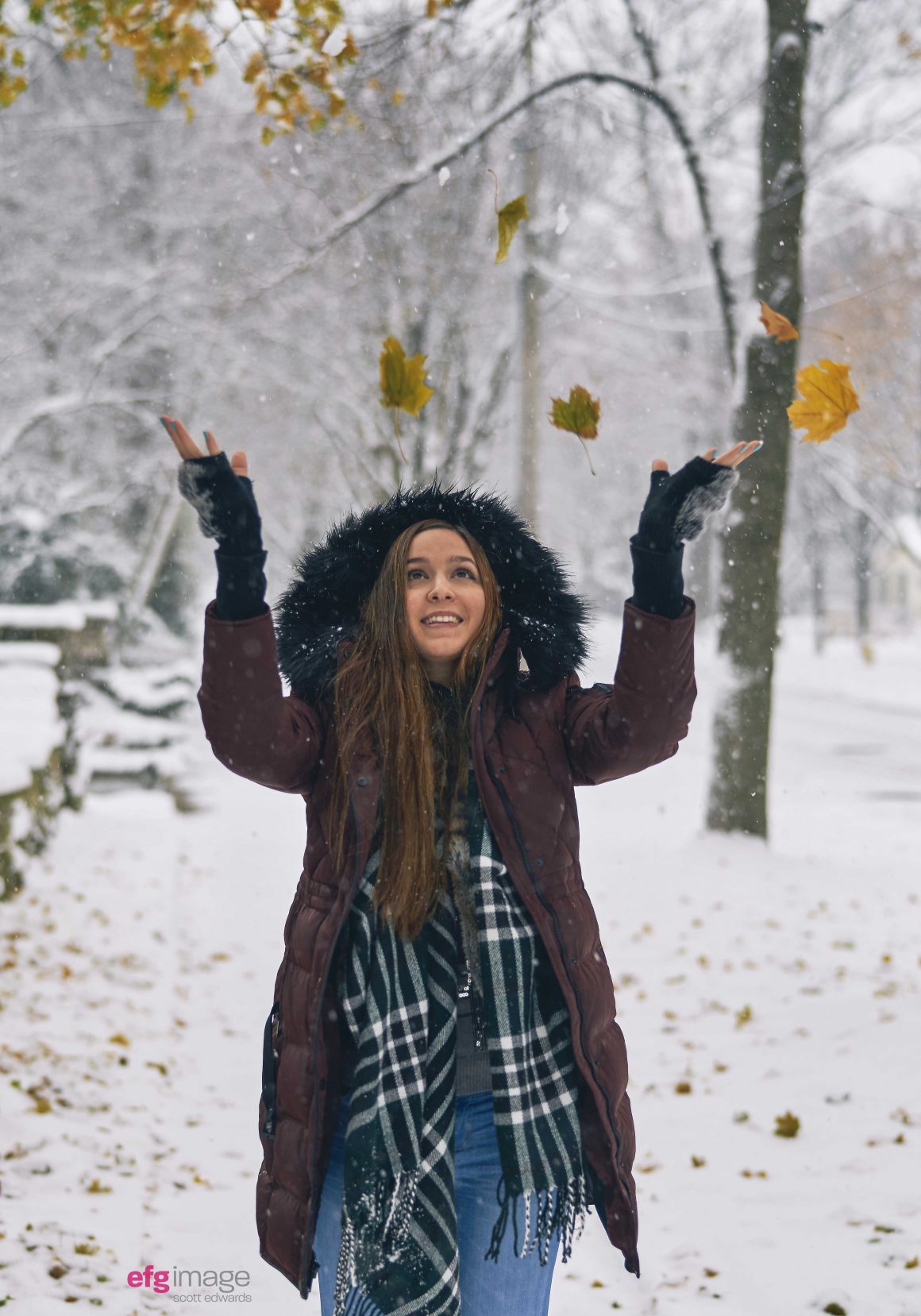 leaves fall during snowfall