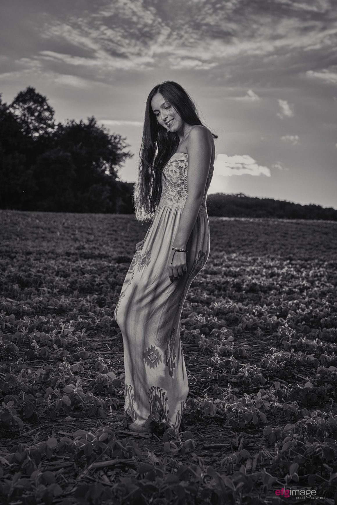 beautiful girl in field at sunset