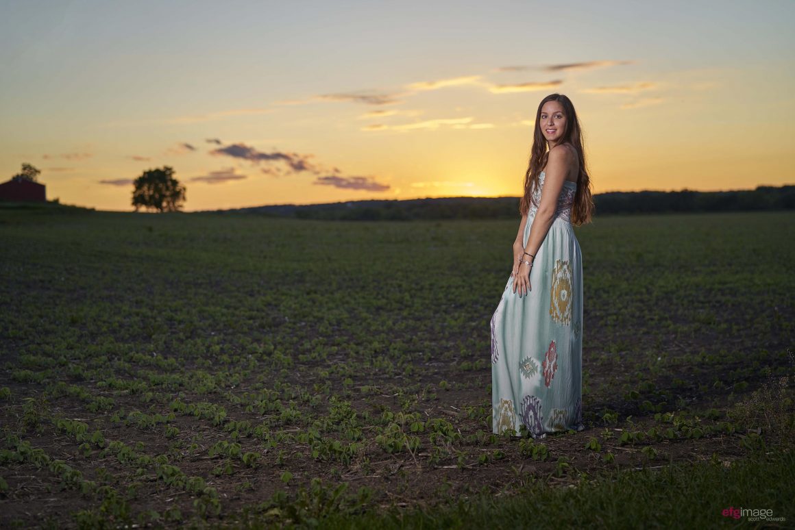 beautiful girl in field at dusk
